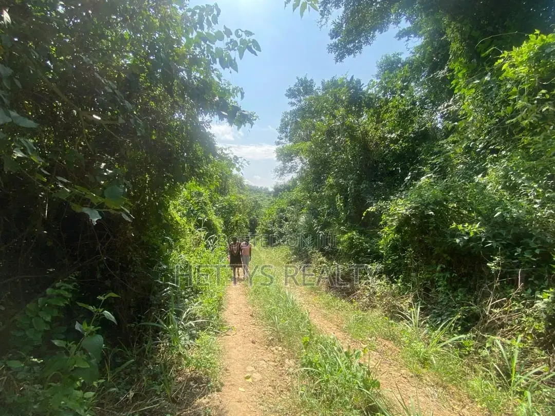 25 Acres Land for Sale Behind the Mampong Research Institute