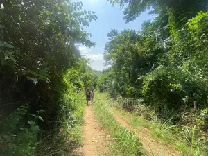 25 Acres Land for Sale Behind the Mampong Research Institute
