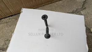 25mm Dry Wall Screws