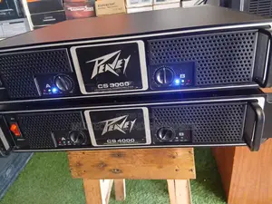 Peavey Power Amp. (Cs3000)