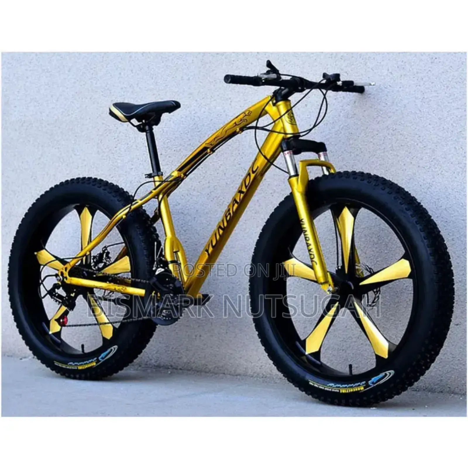 Fat Tire Bicycle for Sale