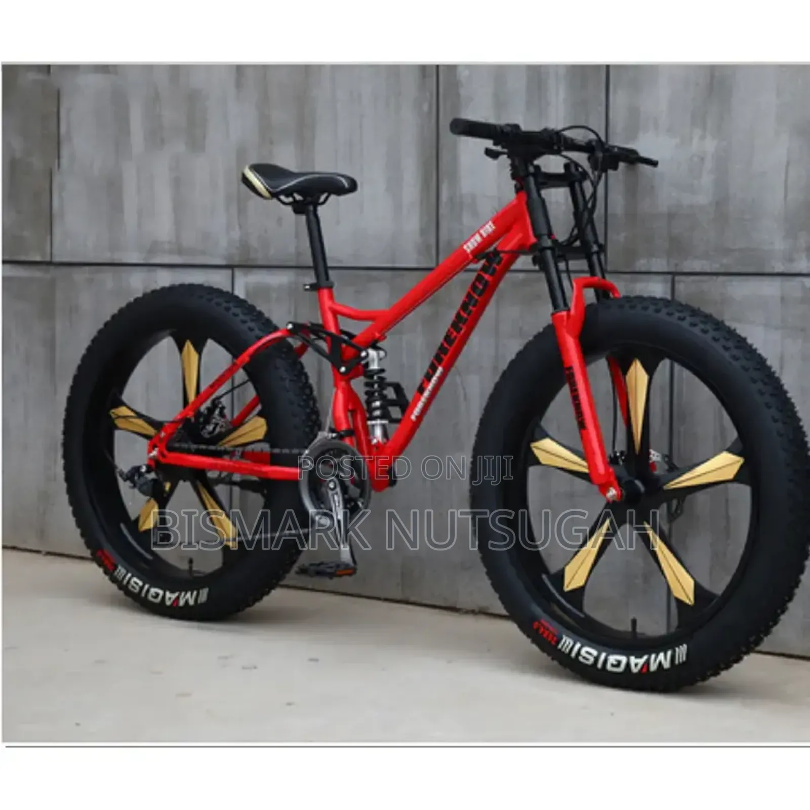 Fat Tire Bicycle for Sale