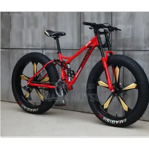 Fat Tire Bicycle for Sale