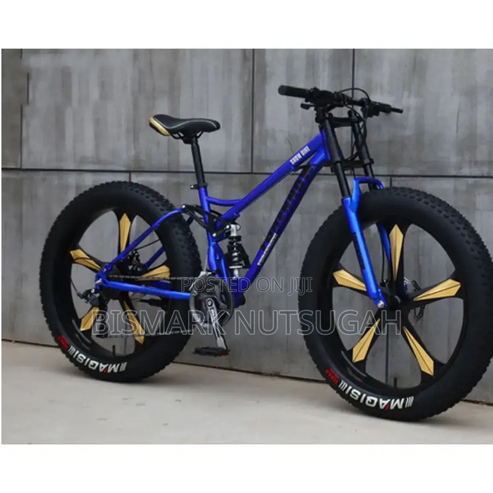 Fat Tire Bicycle for Sale