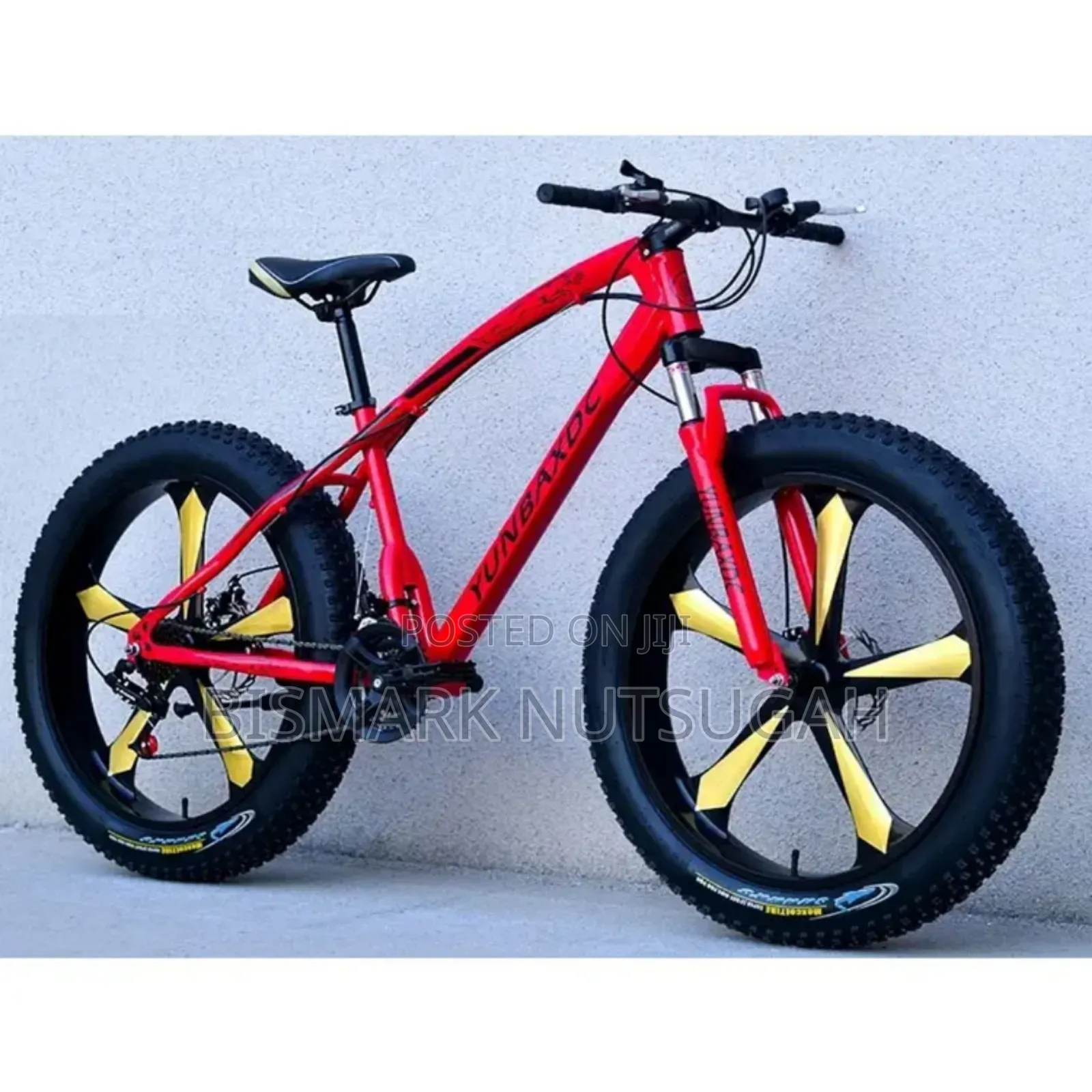 Fat Tire Bicycle for Sale