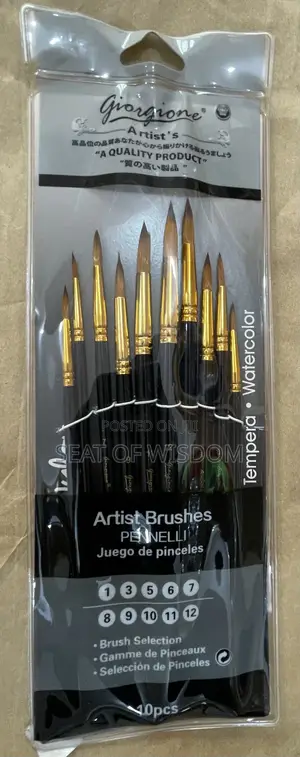 Professional Artist Brush