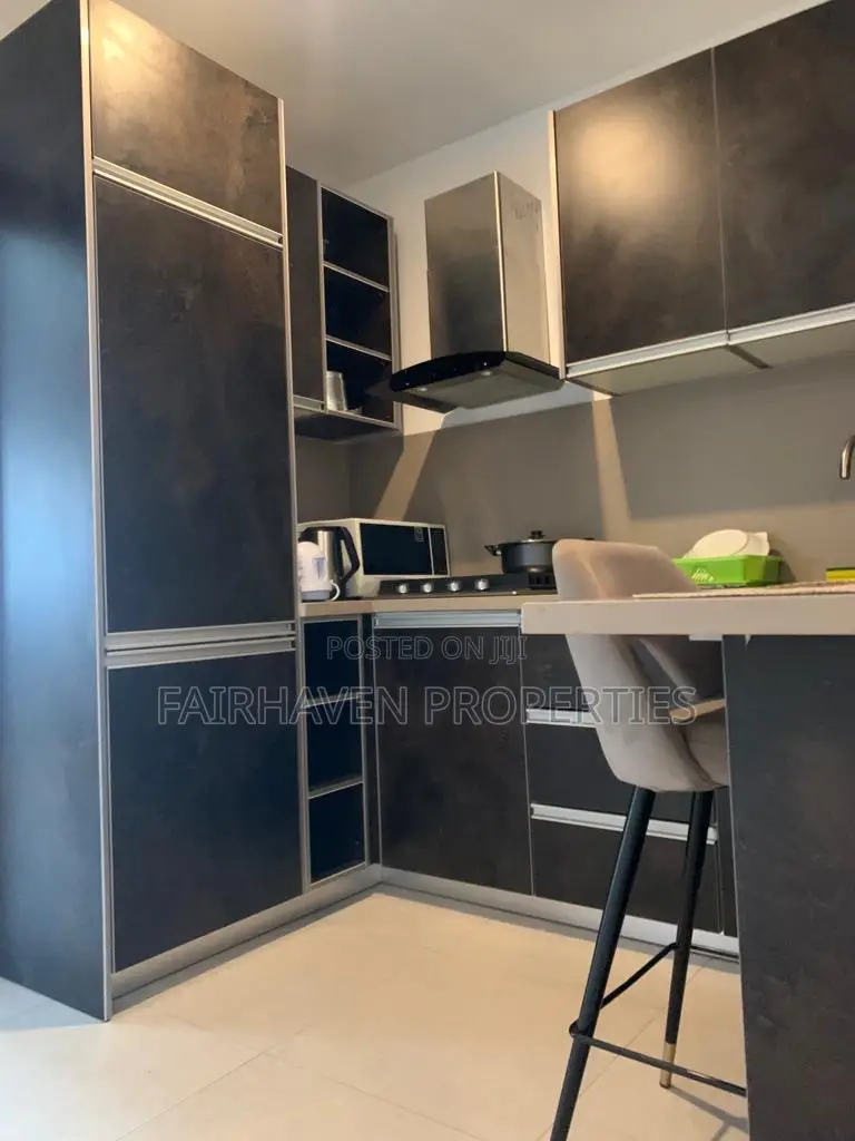 Furnished 1bdrm Apartment in Tseaddo East Airport for rent