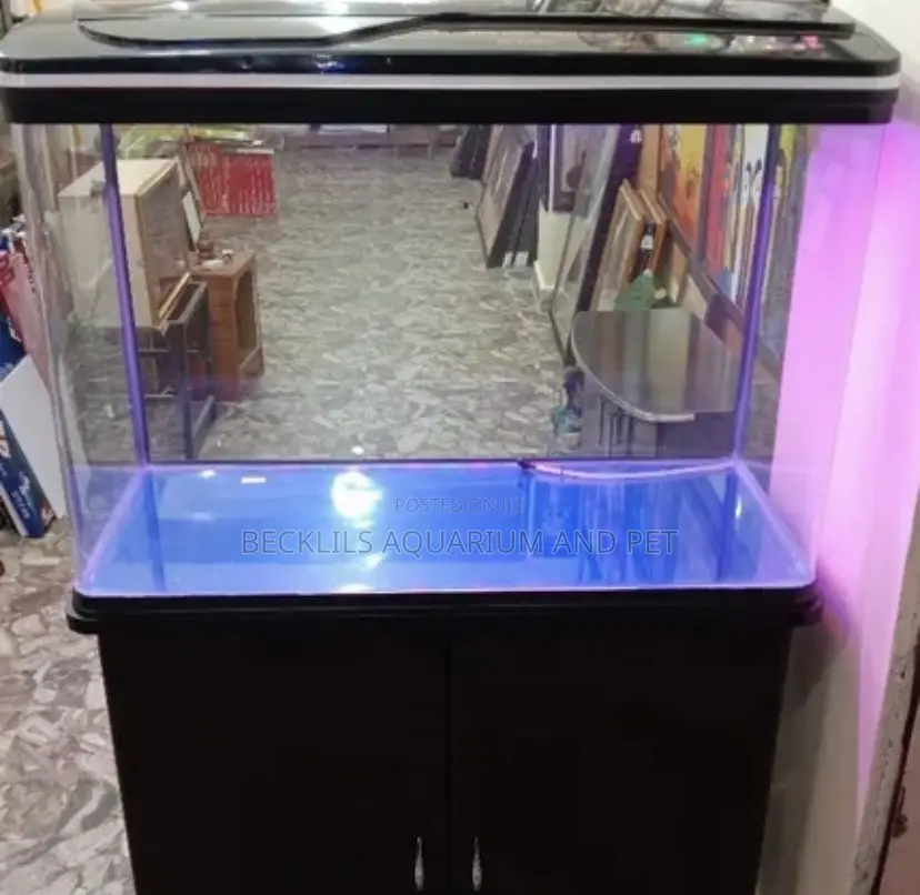Quality Aquarium Tank ( Full Set Up)