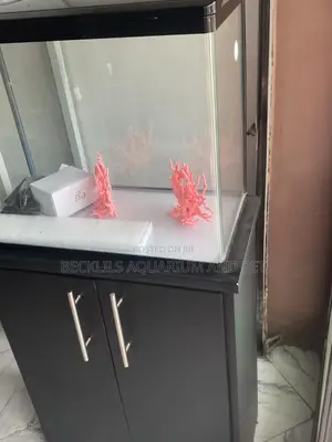 Package 2 Feet Aquarium Tank