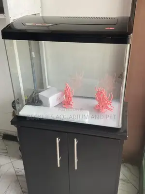 Package 2 Feet Aquarium Tank