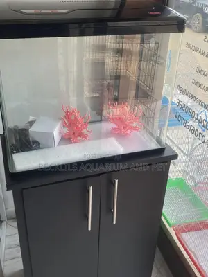 Package 2 Feet Aquarium Tank