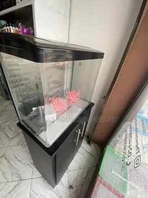 Package 2 Feet Aquarium Tank