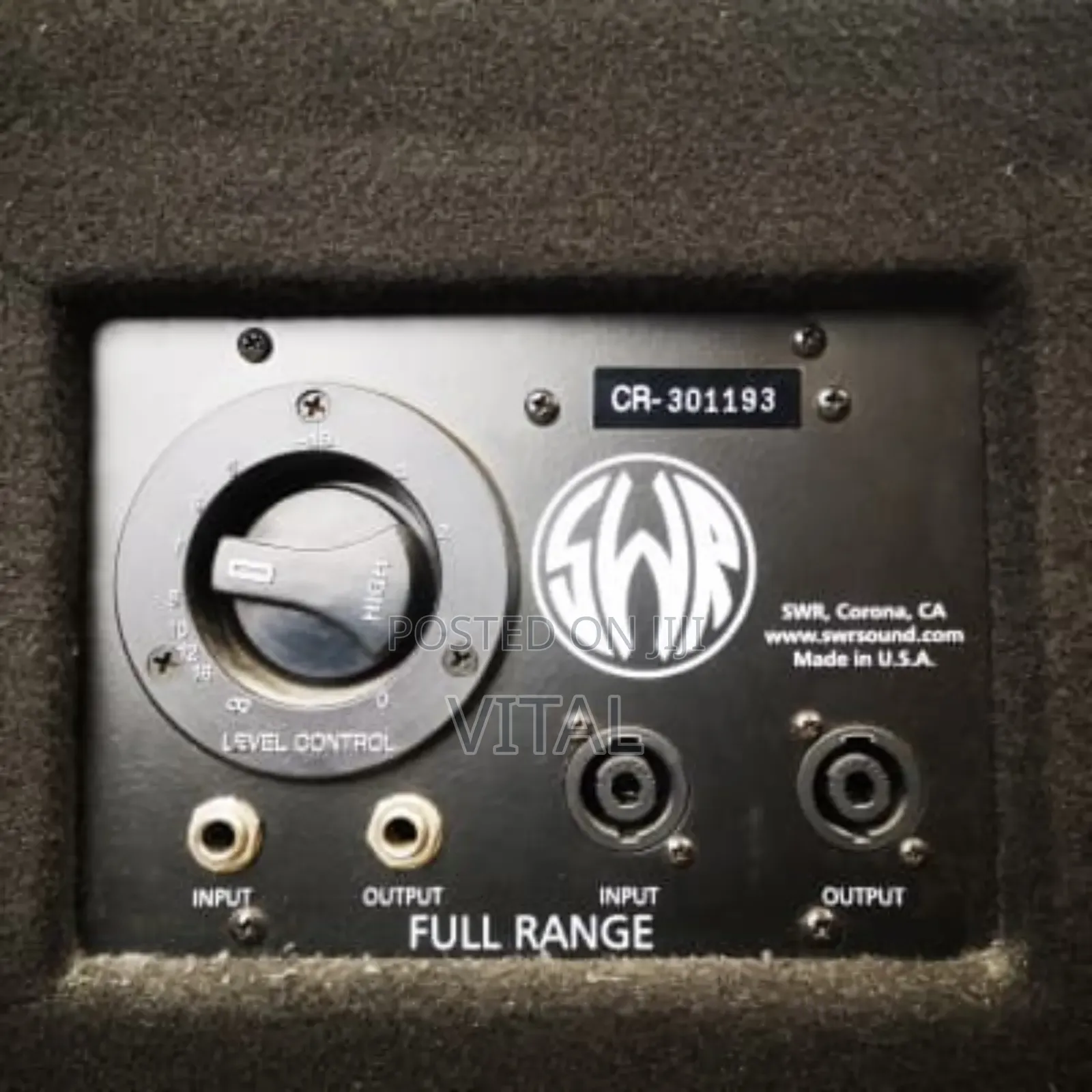 Bass Cabinet SWR Goliath Jr Ii