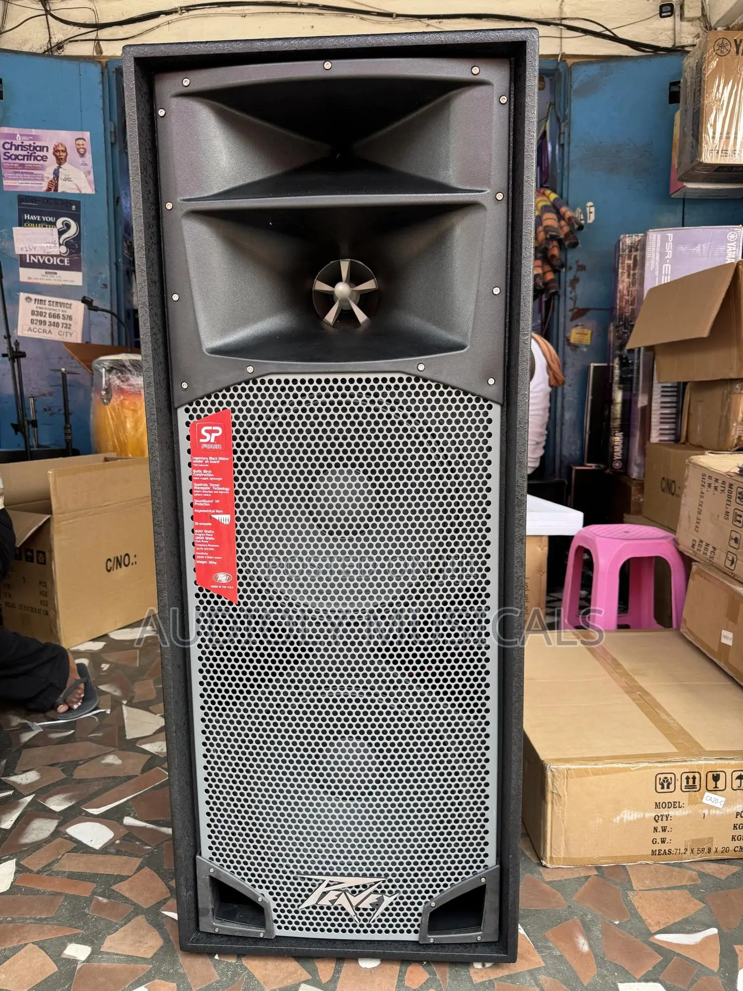 Peavey Spider Mid Speakers