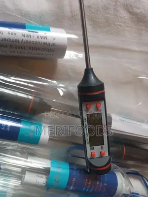 Digital Food Thermometer