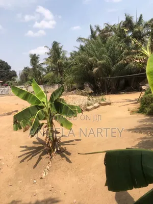 TDC Documented Land at Lashibi