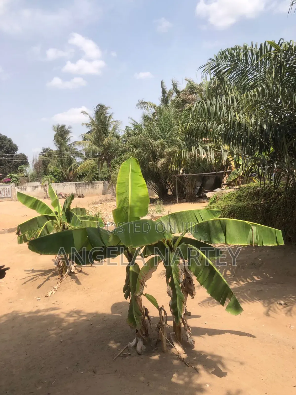 TDC Documented Land at Lashibi