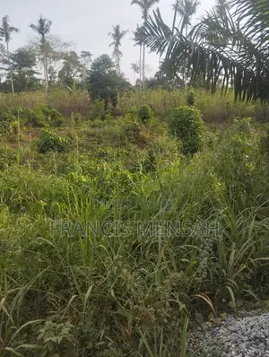 Farm Land for Sale