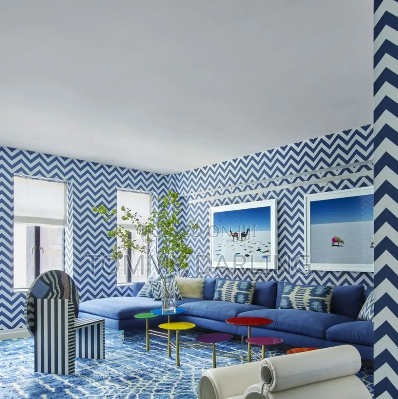 Professional Wall Sticker Installer