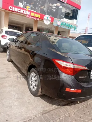Car Rental