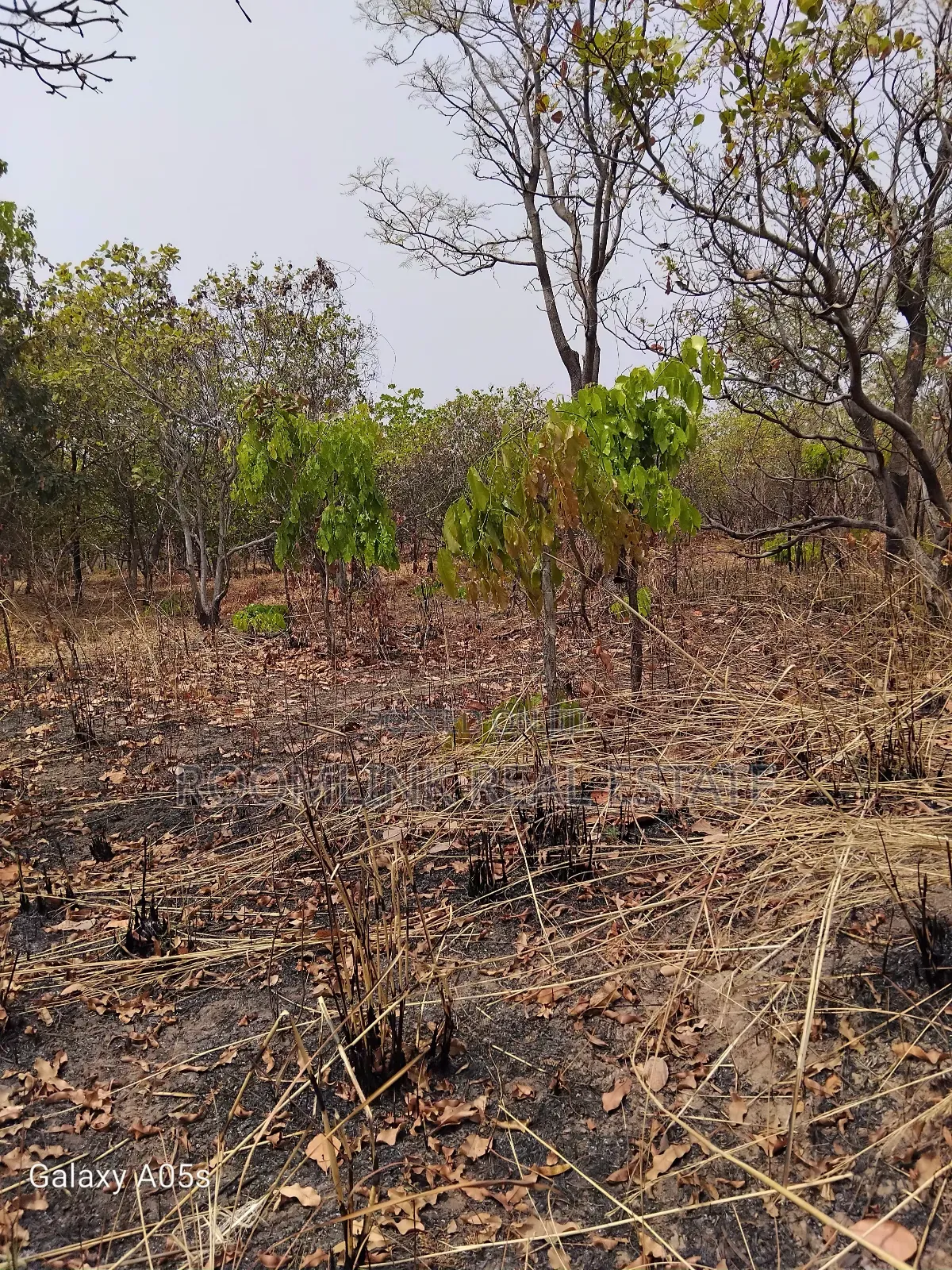 Farmland Available at Mankesim Not Far From Accra