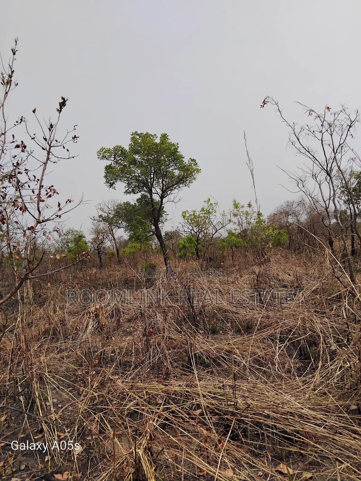 Farmland Available at Mankesim Not Far From Accra