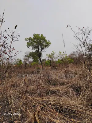 Farmland Available at Mankesim Not Far From Accra