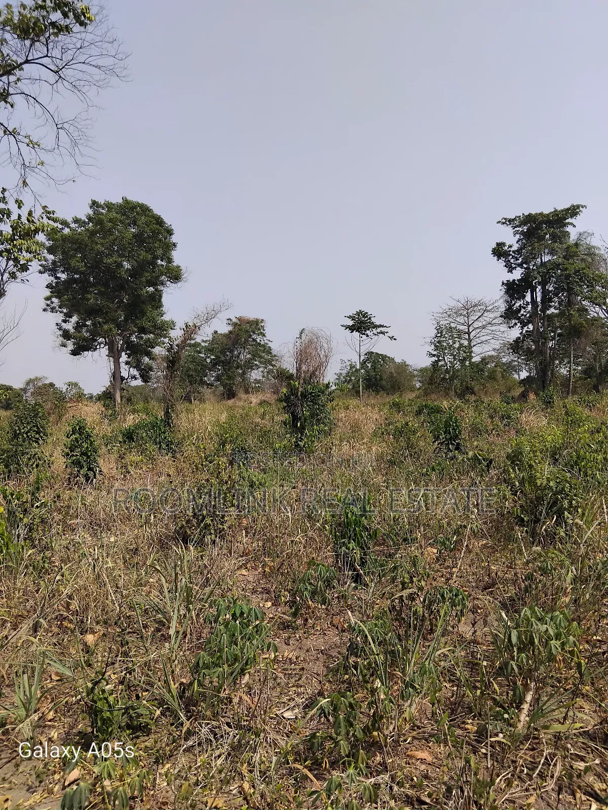 Farmland Available at Mankesim Not Far From Accra