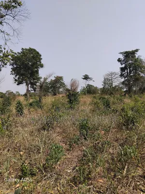 Farmland Available at Mankesim Not Far From Accra