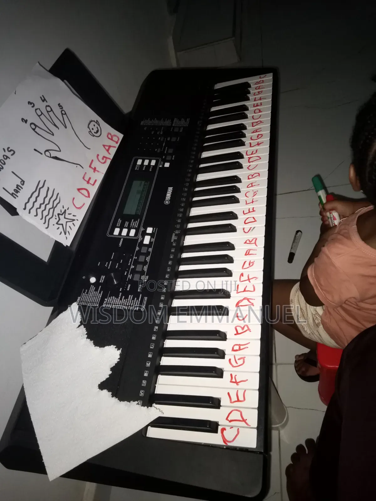 Vocal Coach and Music Teacher for 7 Musical Instruments.