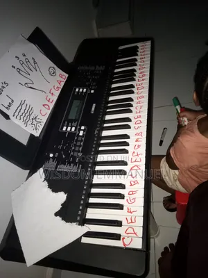 Vocal Coach and Music Teacher for 7 Musical Instruments.