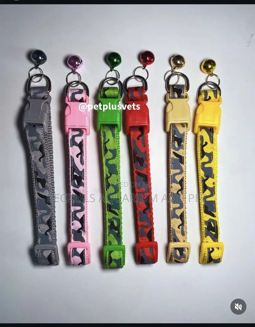 Adjustable Quality Dog N Cat Collars