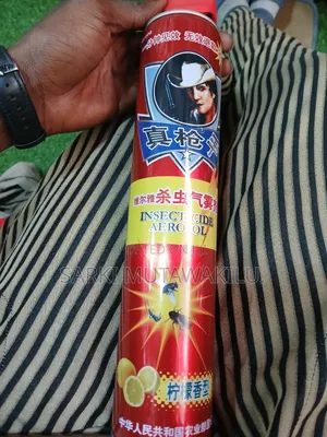 Aerosol Insecticide.