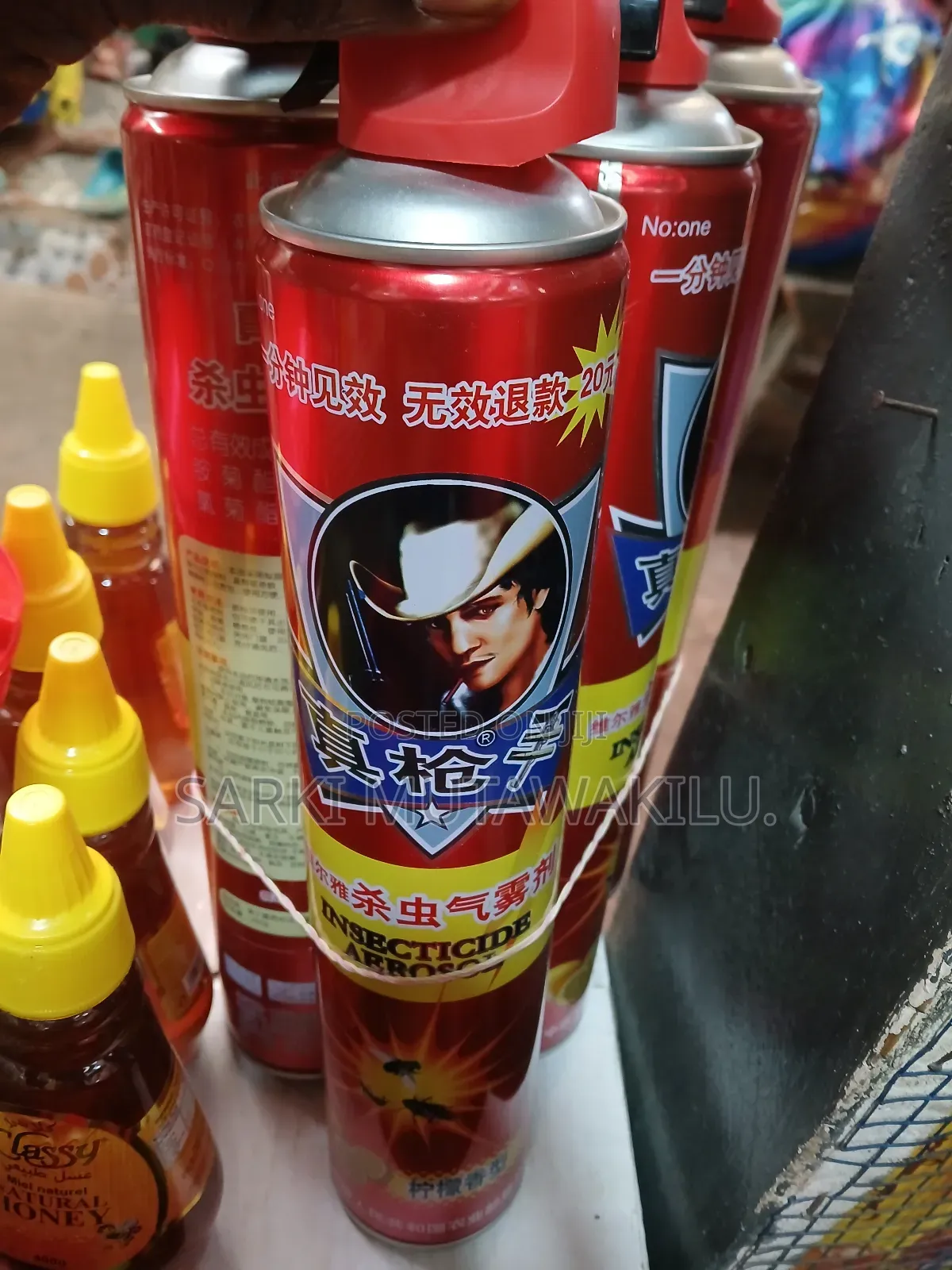 Aerosol Insecticide.