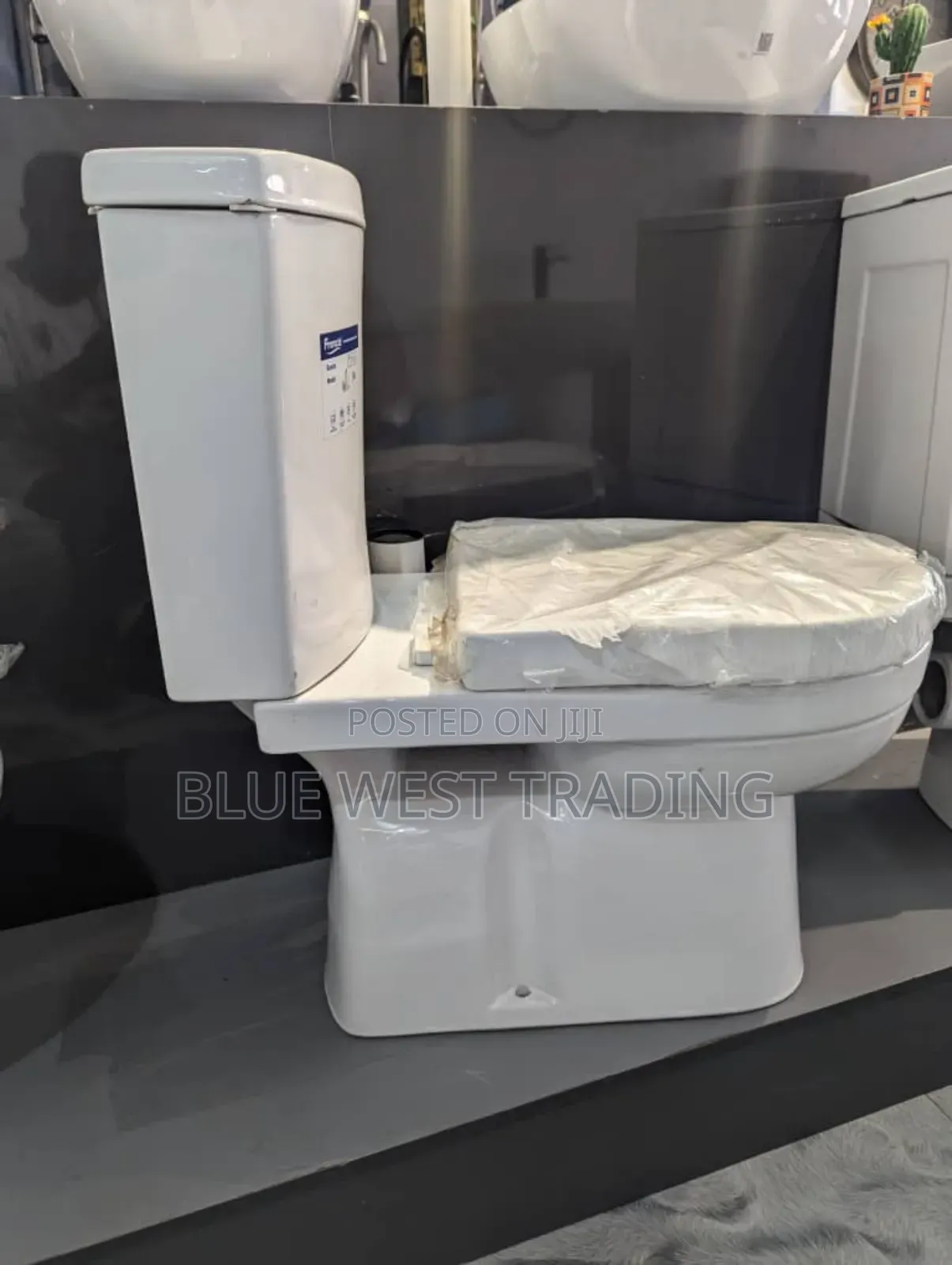 Frencia Water Closet _ Frencia Wc 100