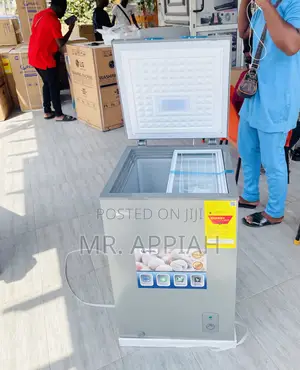 Elegant Pearl 100l 1 Door Electric Chest Freezer(Silver)