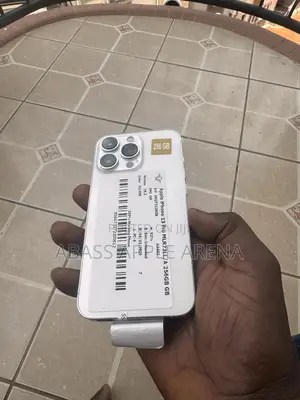 Apple iPhone 13 Pro 256 GB Silver