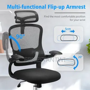 Ergonomic Luxury Mesh Chair From Ximstar, Uk