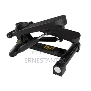 Mini Stepper From Everlast, Uk