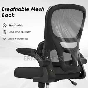 High Back Ergonomic Chair From Farini, Uk