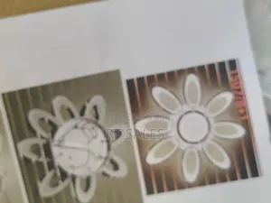 Remote Control 3 Color Ceiling Light.