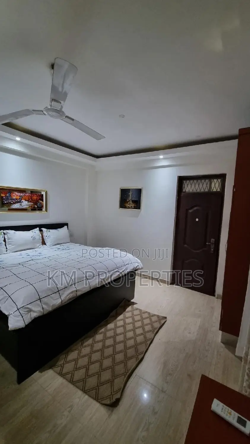 Executive Fully-Furnished One Bedroom Ensuite at East-Legon