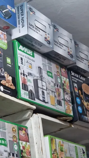 Avinas 4 in 1 Juicer and Blender