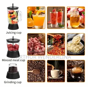 Avinas 4 in 1 Juicer and Blender