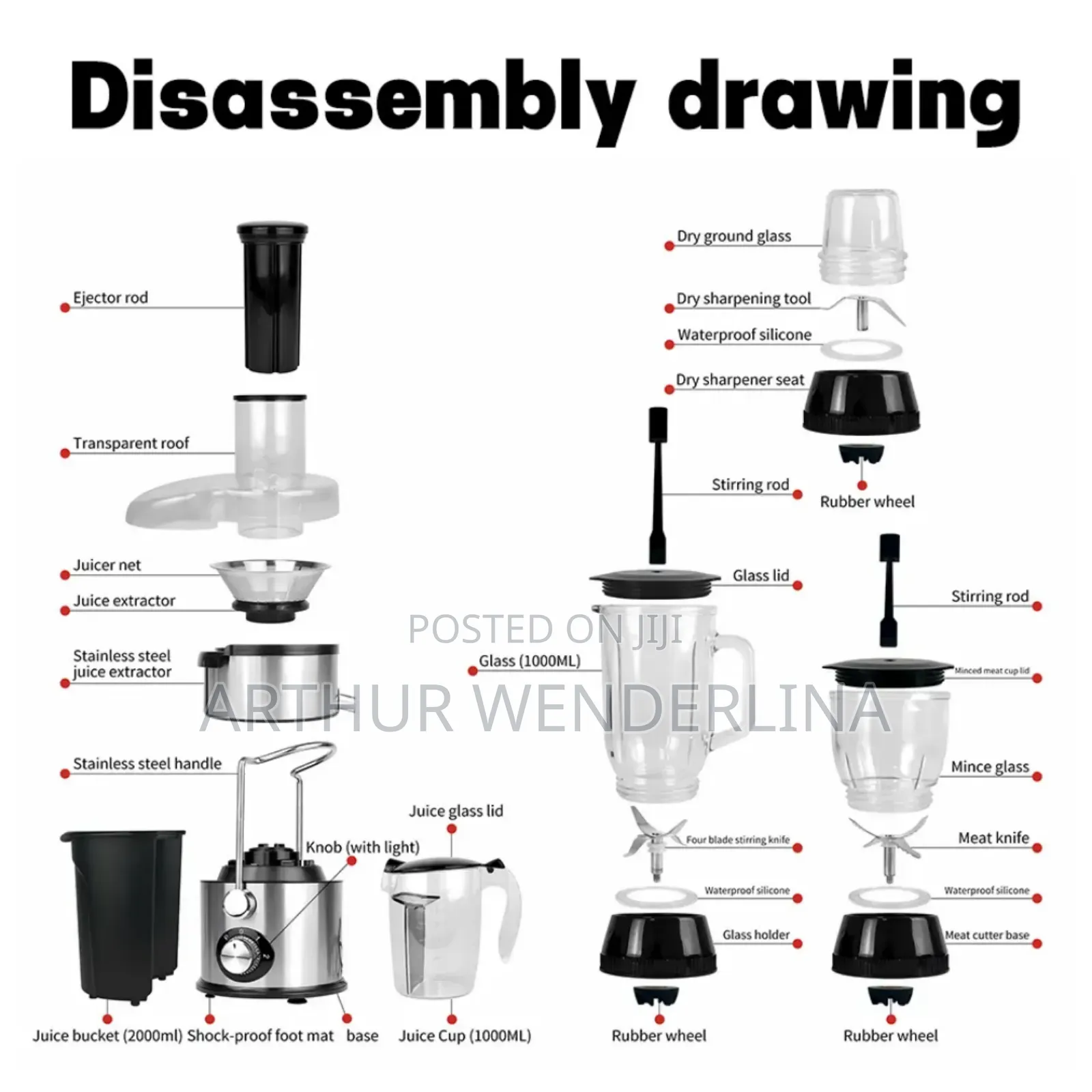 Avinas 4 in 1 Juicer and Blender