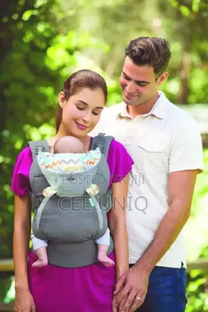 Infantino Baby Hooded Carrier