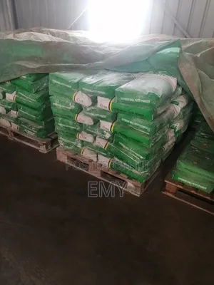 Skimming/Putty Powder