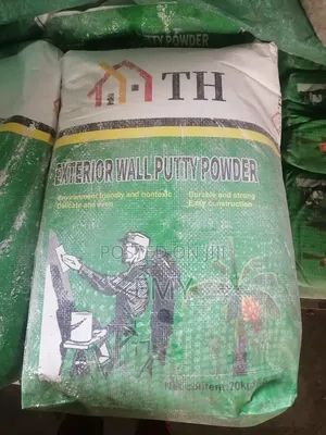 Skimming/Putty Powder