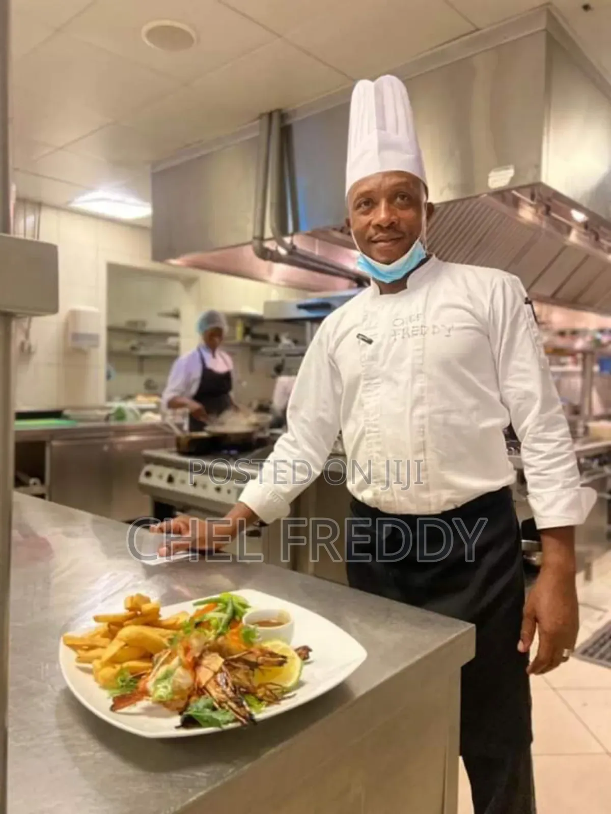 Executive Chef Available for Jobs