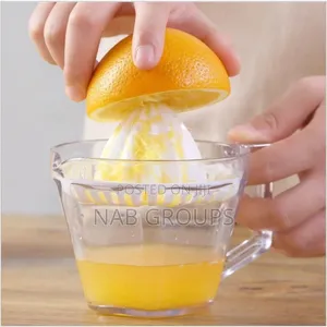 Manual Juicer